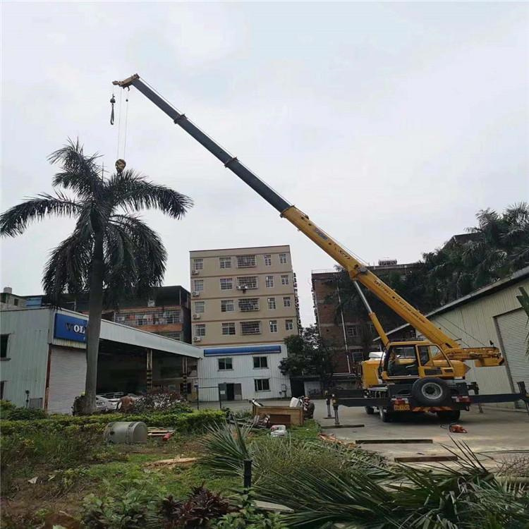 禹州汽车吊出租多少钱？全面解析与市场行情